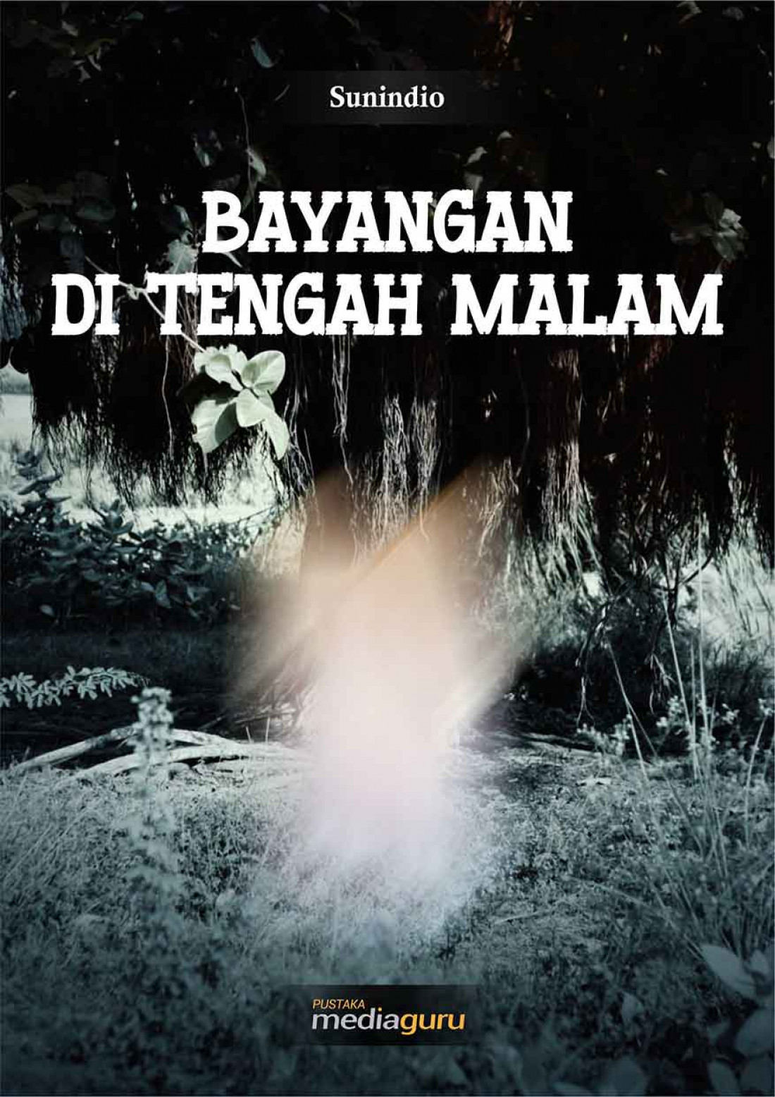 Bayangan di Tengah Malam