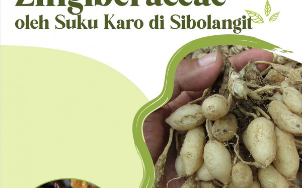 Pemanfaatan Zingiberaceae oleh Suku Karo di Sibolangit